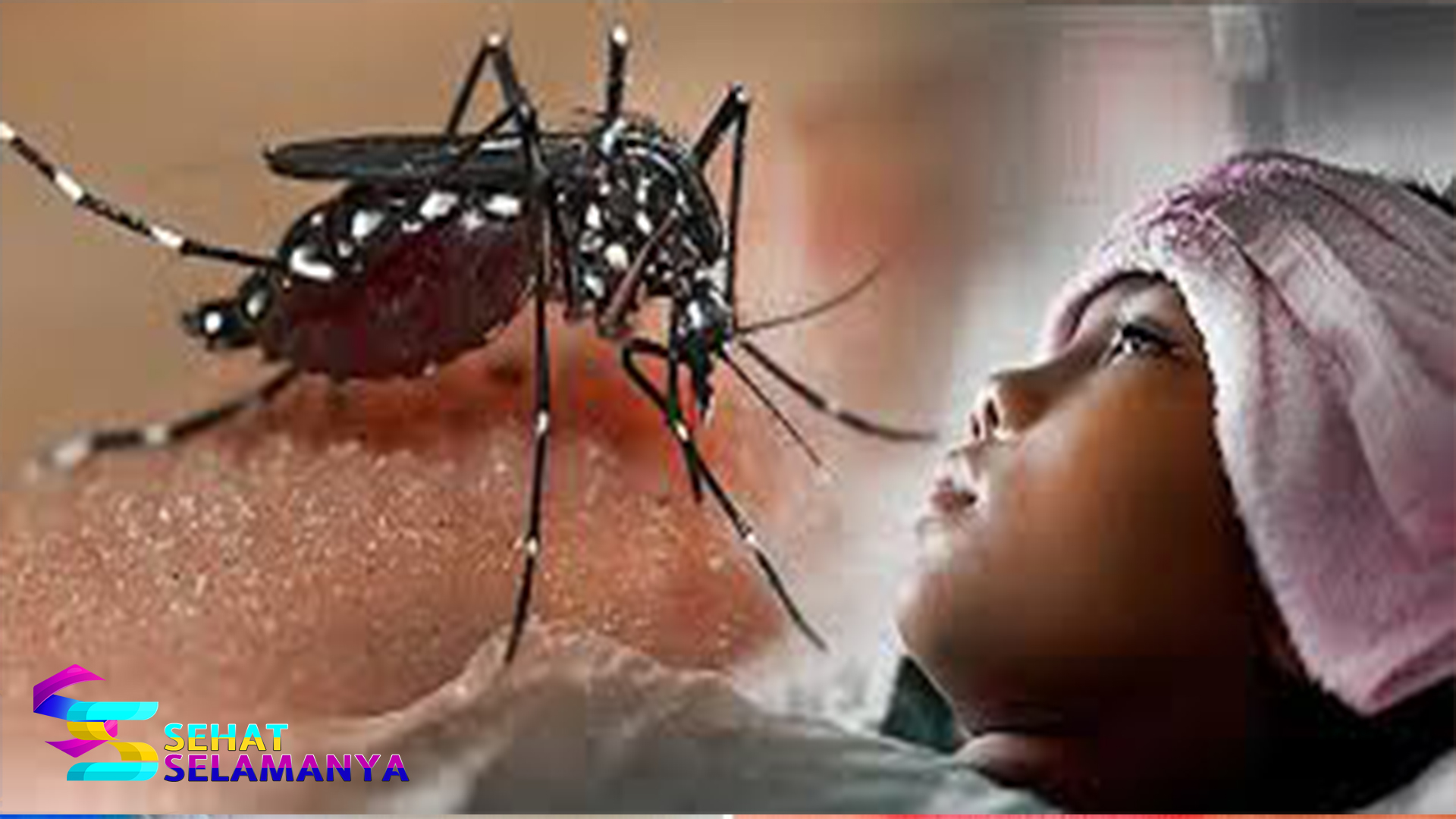 Mengetahui Gejala dan Cara Mencegah Demam Berdarah Dengue