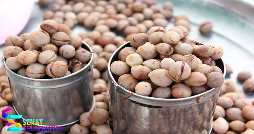 Kandungan dan Manfaat Kacang Bogor bagi Kesehatan